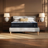 GTU Furniture King 13-Inch Plush Euro Top Hybrid Mattress, Memory Foam and Pocketed Coils — M13631 ALT