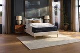 GTU Furniture King 13-Inch Plush Euro Top Hybrid Mattress, Memory Foam and Pocketed Coils — M13631 MOOD A