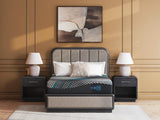 GTU Furniture 14/16-Inch Twin XL/Full/Queen/King/California King Plush/Ultra Plush Gel Memory Foam Hybrid Mattress Collection — M31331 ALT