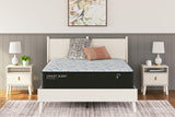 GTU Furniture 14-Inch Twin/Full/Queen Plush Wrapped Coil Hybrid Mattress Collection — M40631 ALT